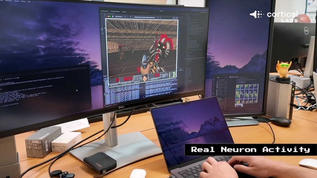 哈密尔顿再,战法拉利总,力争重振车,UED体育app下载,UED体育官网,UED体育官方网站,UED体育平台