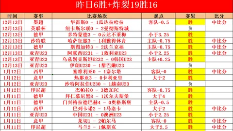 上海主帅褒奖新星杯赛卓越表现，俱乐部未定具体指标